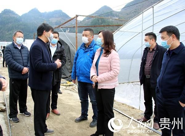 贵州铜仁印江土家族苗族自治县新增疫情关注/贵州铜仁印江中药材种植政府有补贴吗
