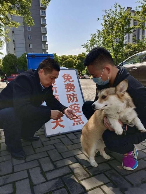 吴江区疫情风险地区划分(吴江区狂犬疫苗接种点)