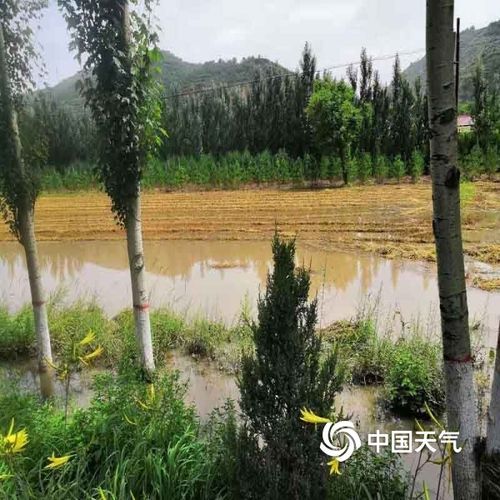 【甘肃省庆阳市环县管控区标准最新公布,甘肃省庆阳市环县近15天天气】