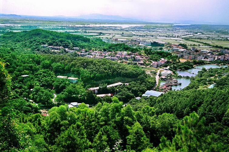【广东省中山市大涌镇疫情严重吗_广东省中山市大涌镇属于哪个区】