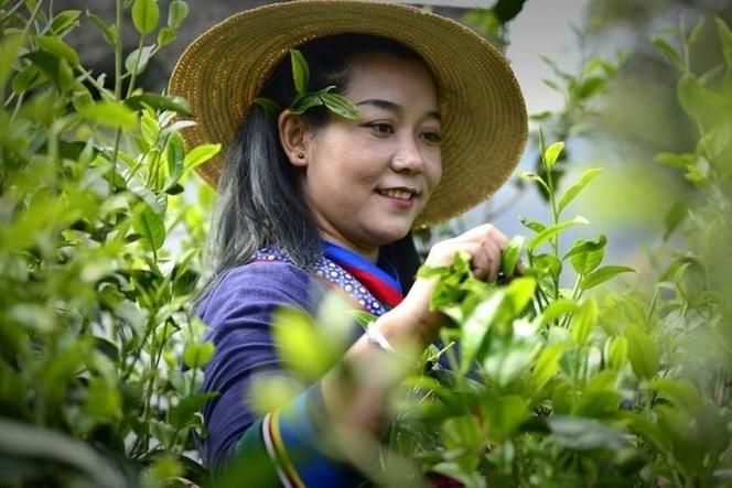 云南省西双版纳傣族自治州勐海县疫情还在新增吗今天:云南省西双版纳傣族自治州勐海县勐邦水库历史建设照片