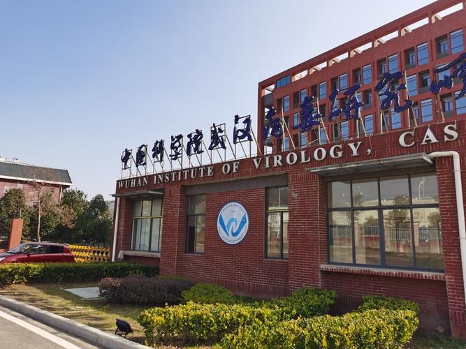 【湖北武汉江岸区疫情防控中风险地区,疫情期间武汉湖北最有名的病毒研究所】