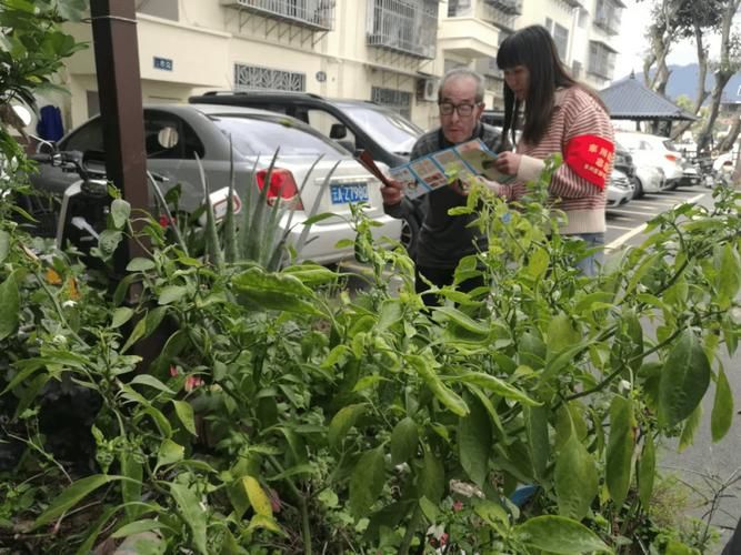 活动轨迹清镇市疫情防控最新文件(清镇市三地开展禁种踏查活动)