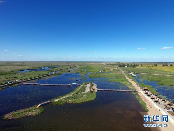 疫情黑龙江大庆林甸县最新通知(黑龙江大庆天气林甸县四合乡)