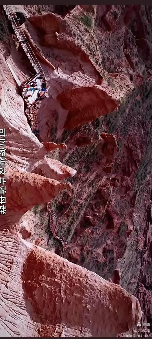 【查找最新疫情新疆维吾尔自治区阿克苏地区温宿县_新疆阿克苏地区温宿县姚西村】