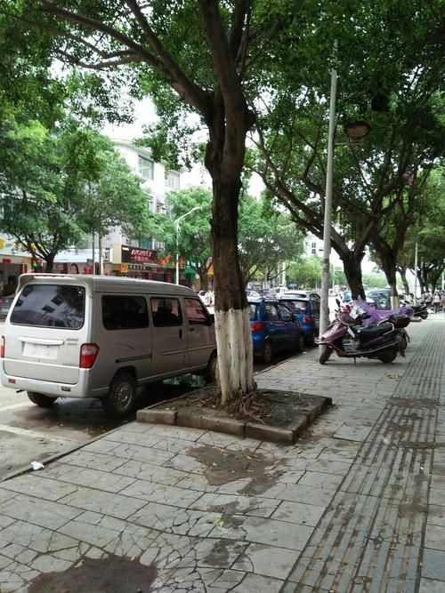 查找最新疫情广西壮族自治区柳州鱼峰区:中国广西壮族自治区柳州市鱼峰区乐群路325号