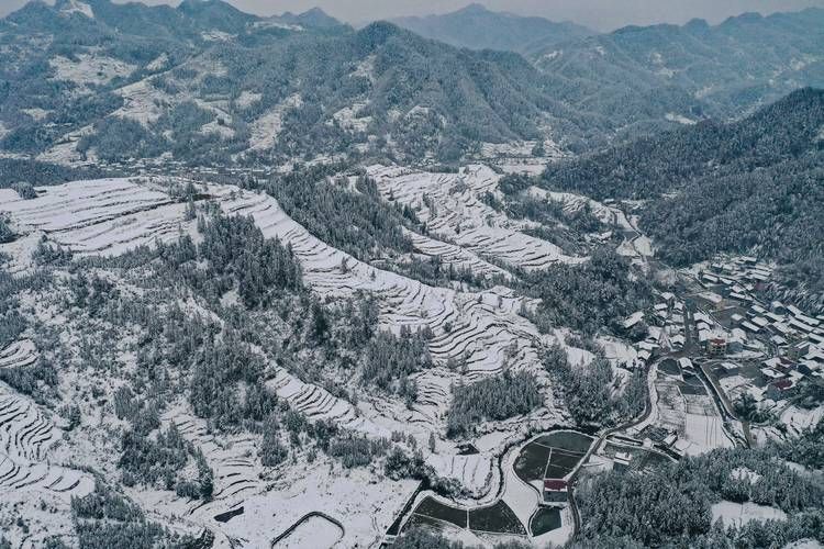 【近期重庆秀山土家族苗族自治县疫情最新,重庆市县秀山土家族苗族自治县气象台大雾黄色预警信号】