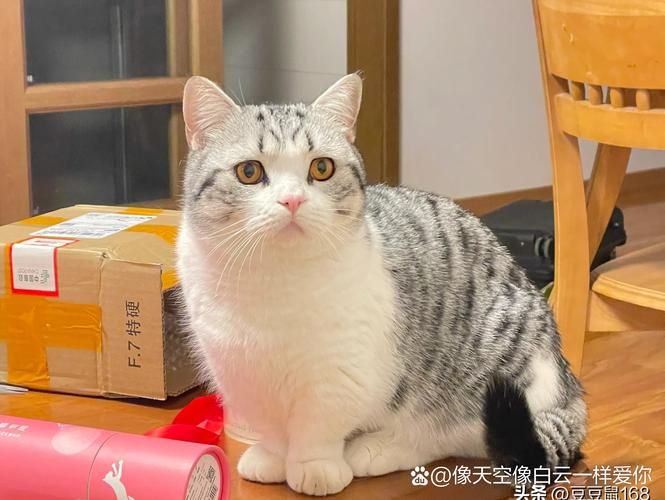  云南省曲靖市马龙区为何新增疫情:云南省曲靖市马龙区图片