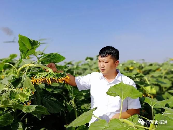 【内蒙古自治区巴彦淖尔五原县各地区疫情等级_巴彦淖尔五原县残疾证到哪领】