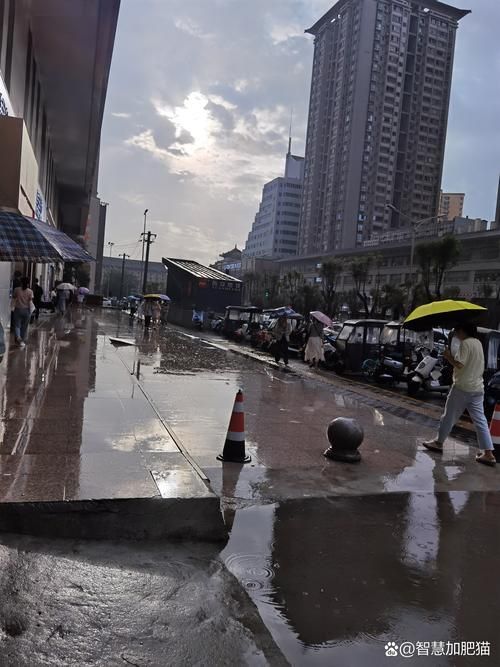 普陀区疫情严重吗/普陀区现在下雨吗