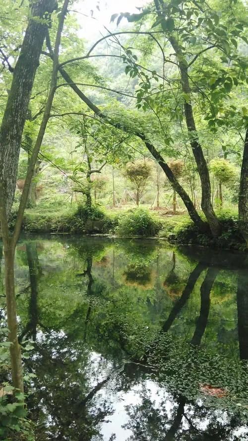 【广西壮族自治区桂林全州县新增疫情关注,广西桂林全州县新闻】